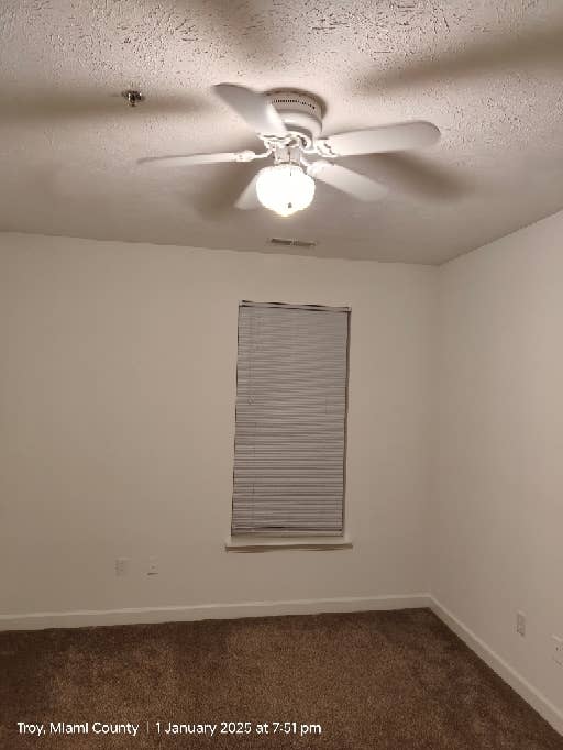 Looking for a roommate