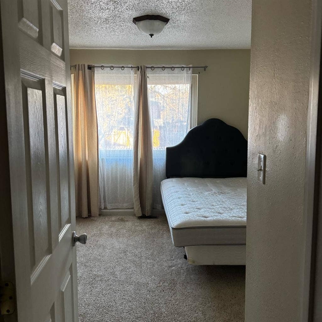 Looking for a roommate