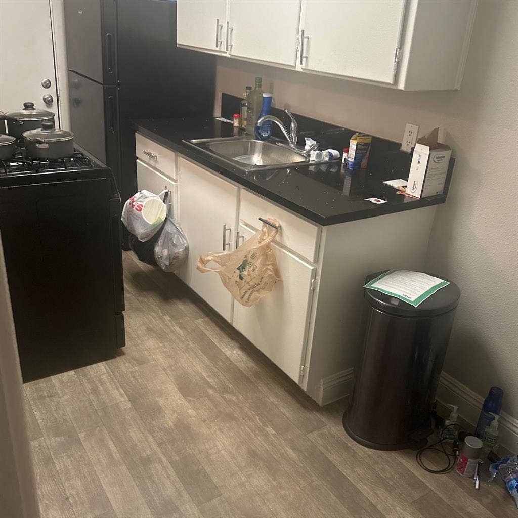 Looking for temporary roommate