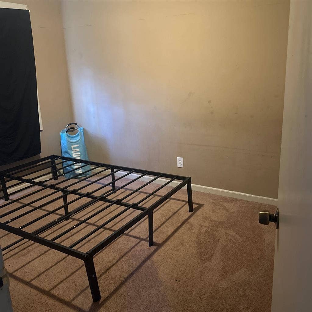 Looking for a roommate