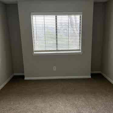 Looking for a responsible roommate