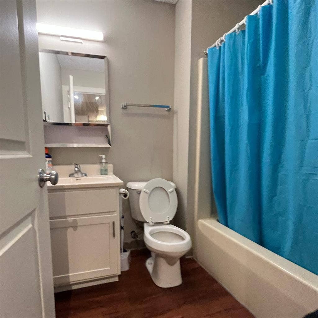 Roommate or Sublease (Bath)!