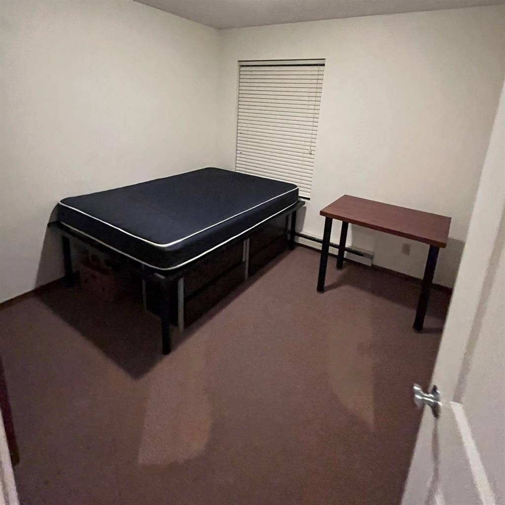 Roommate or Sublease (Bath)!