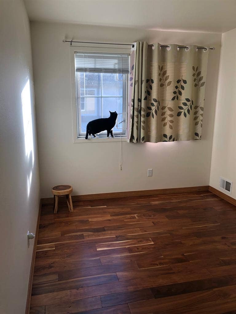 Roommate Wanted for 2 Bed Condo