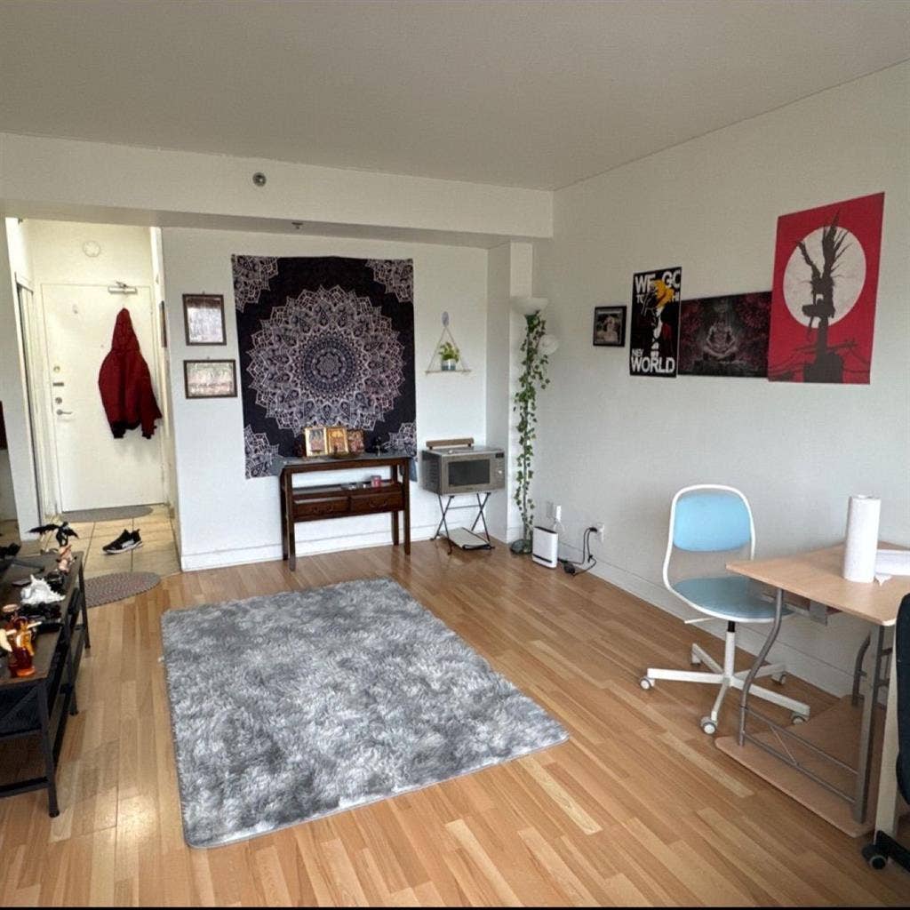 Friendly Roommate Wanted