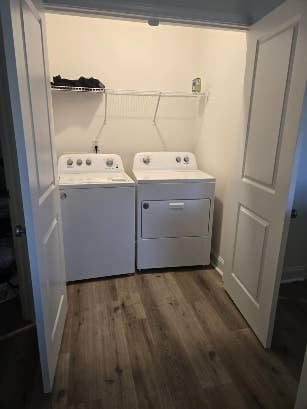 Looking for a friendly roommate