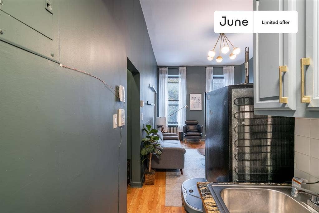 1 BR in New York City