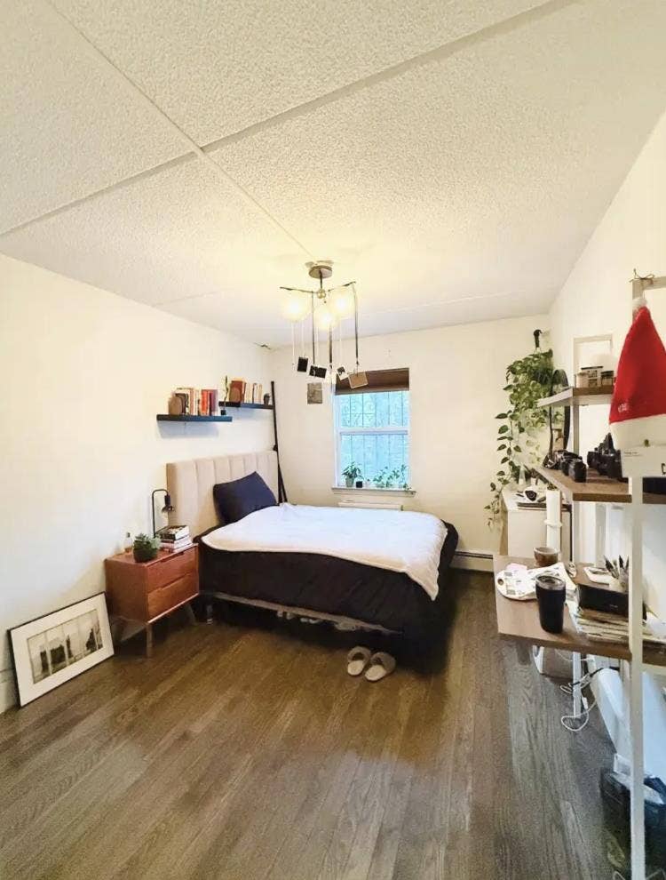 Furnished Room in Bushwick