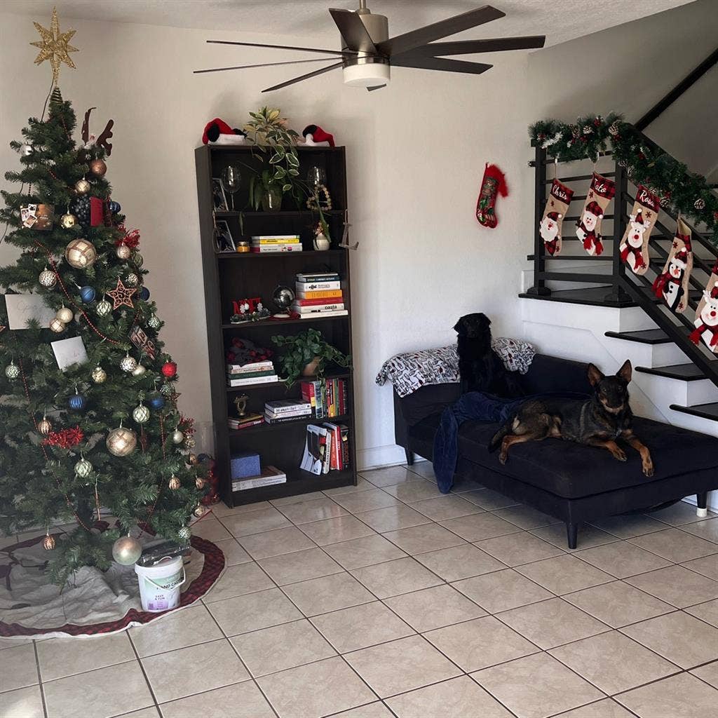 Room For Rent Cutler Bay