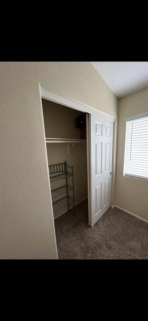 Furnished room available