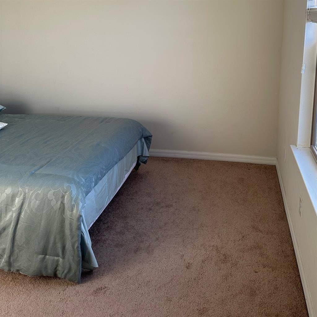 Roommate needed!