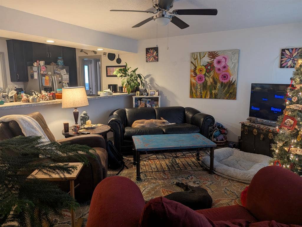 Looking for Roommate