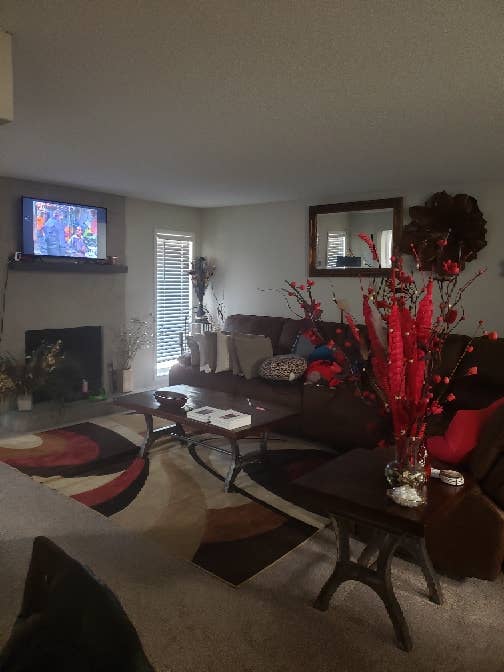 Looking for the right roommate