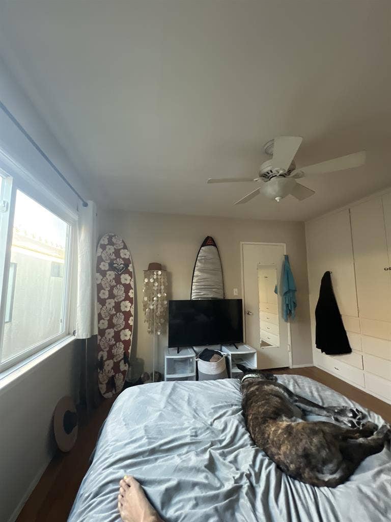 FEBRUARY ROOM SUBLET BELMONT SHORE