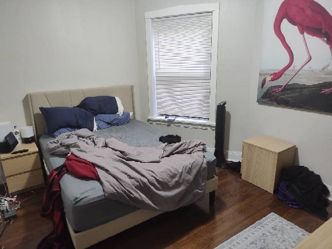 Looking for roommate in Edgewater