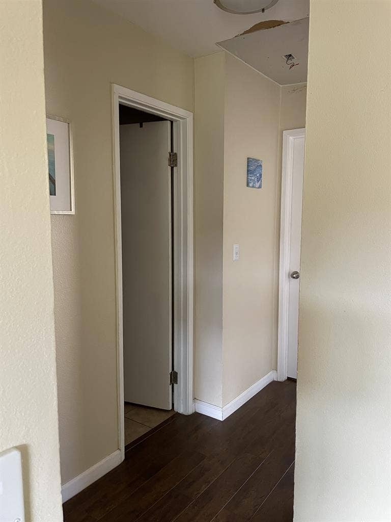 Looking for a Roommate