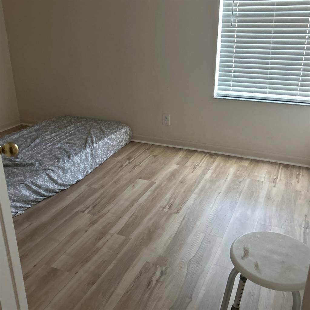 Roommate wanted male or female