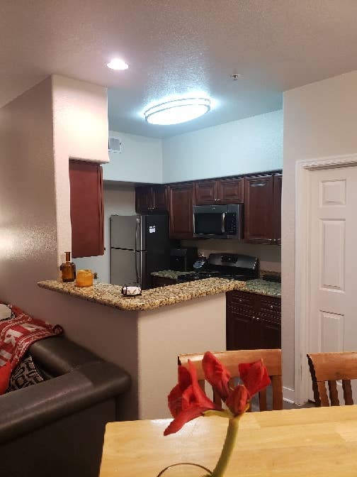 Roommate needed for lease renewal