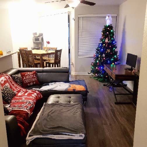 Roommate needed for lease renewal