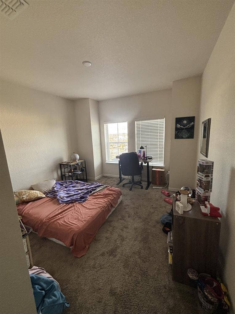 Seeking roommate