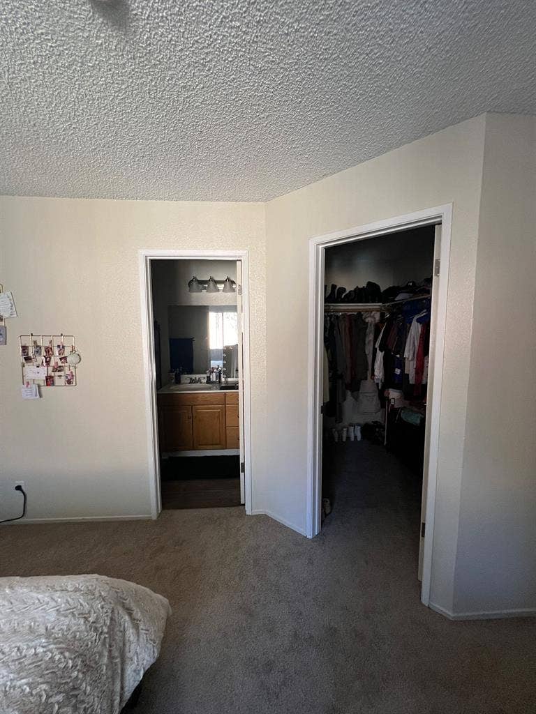 Spacious Master Bedroom with Bath