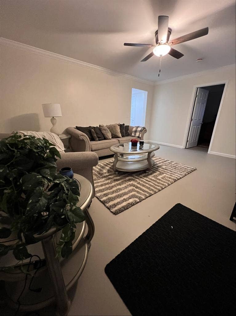 A Peace of Stone Mountain