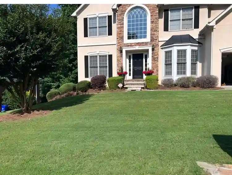 A Peace of Stone Mountain