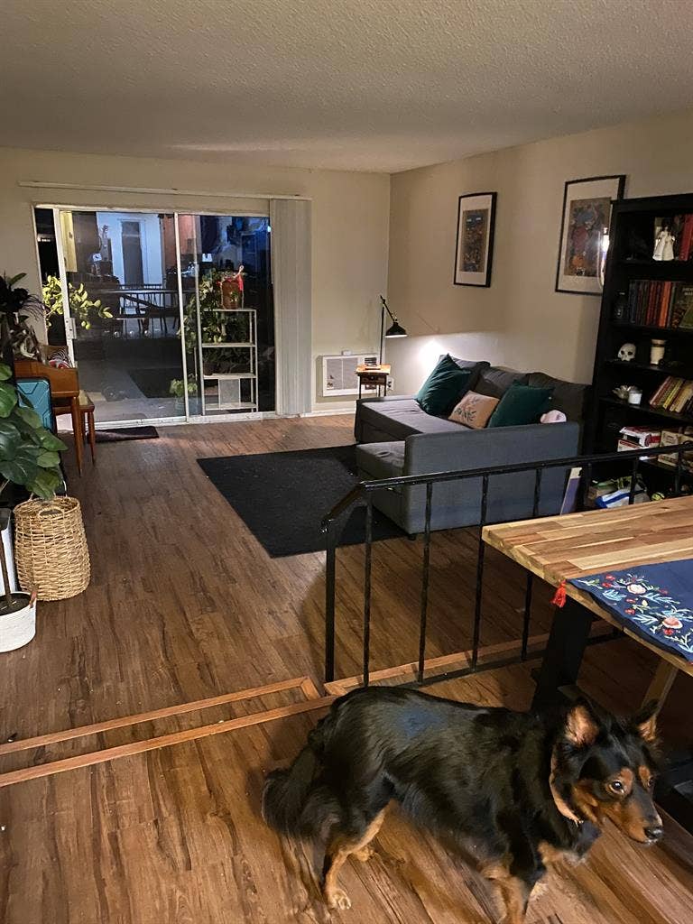 Room available near UCI