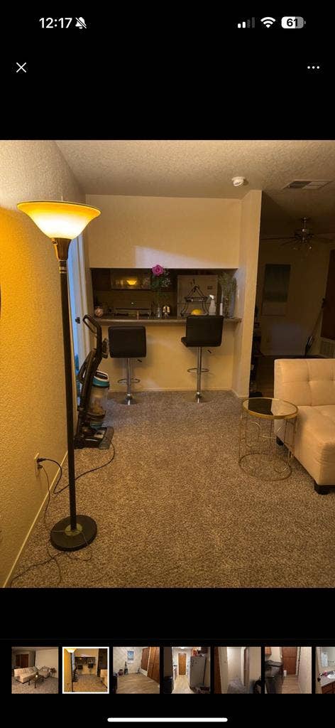 Shared apartment/ roomate