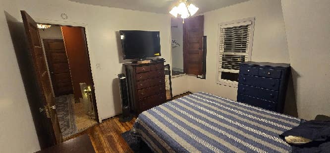 Looking for a roommate