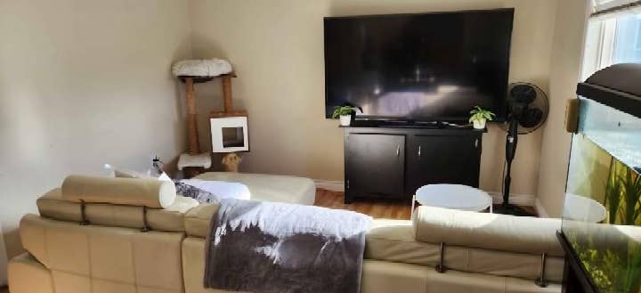 LARGE 1 BEDROOM RENTAL