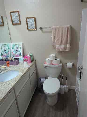 Roommate needed