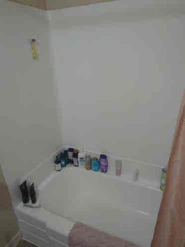 Roommate needed