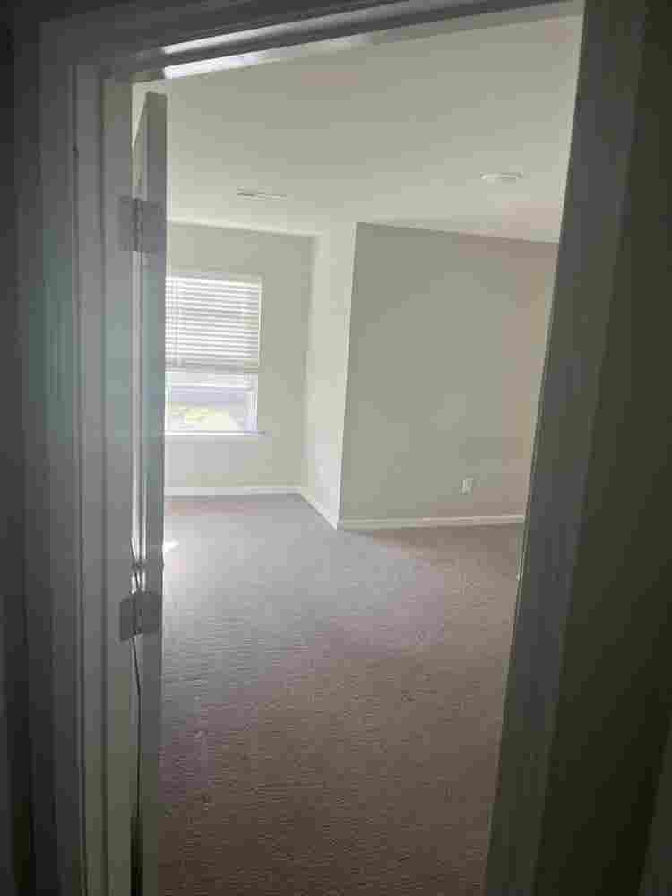 Roommate wanted
