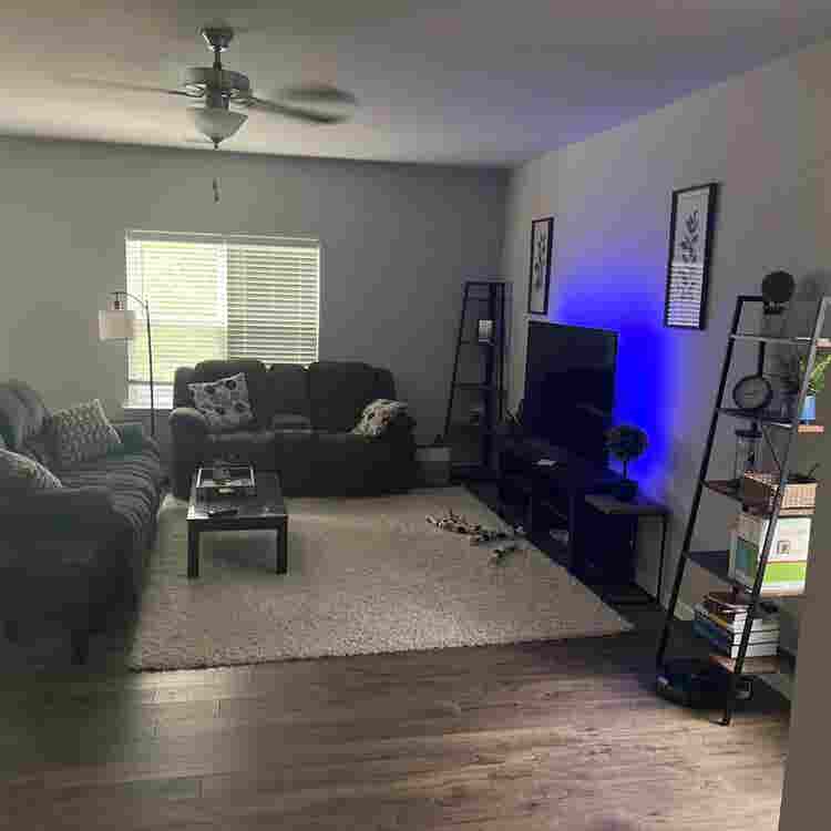Roommate wanted