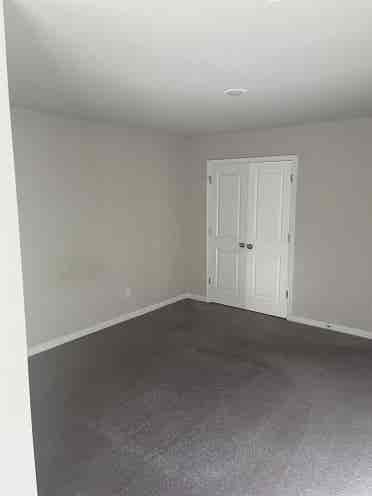 Roommate wanted