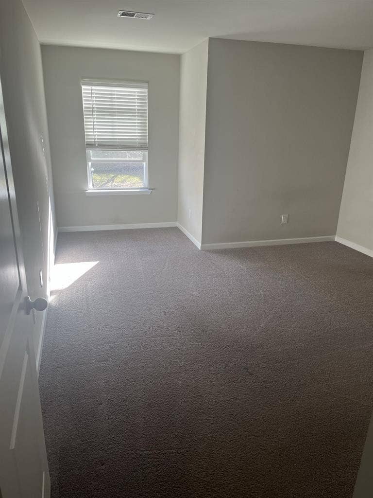 Roommate wanted