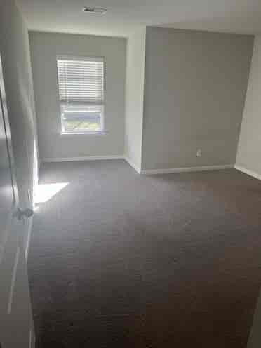 Roommate wanted