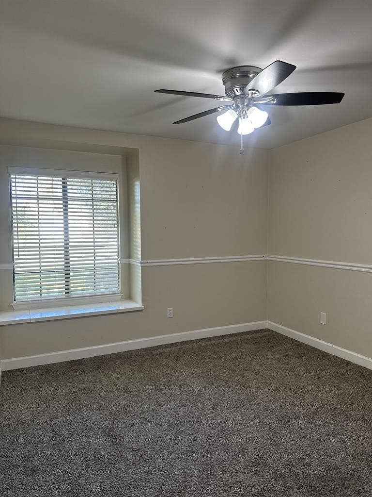 Room available for rent Feb 1st!