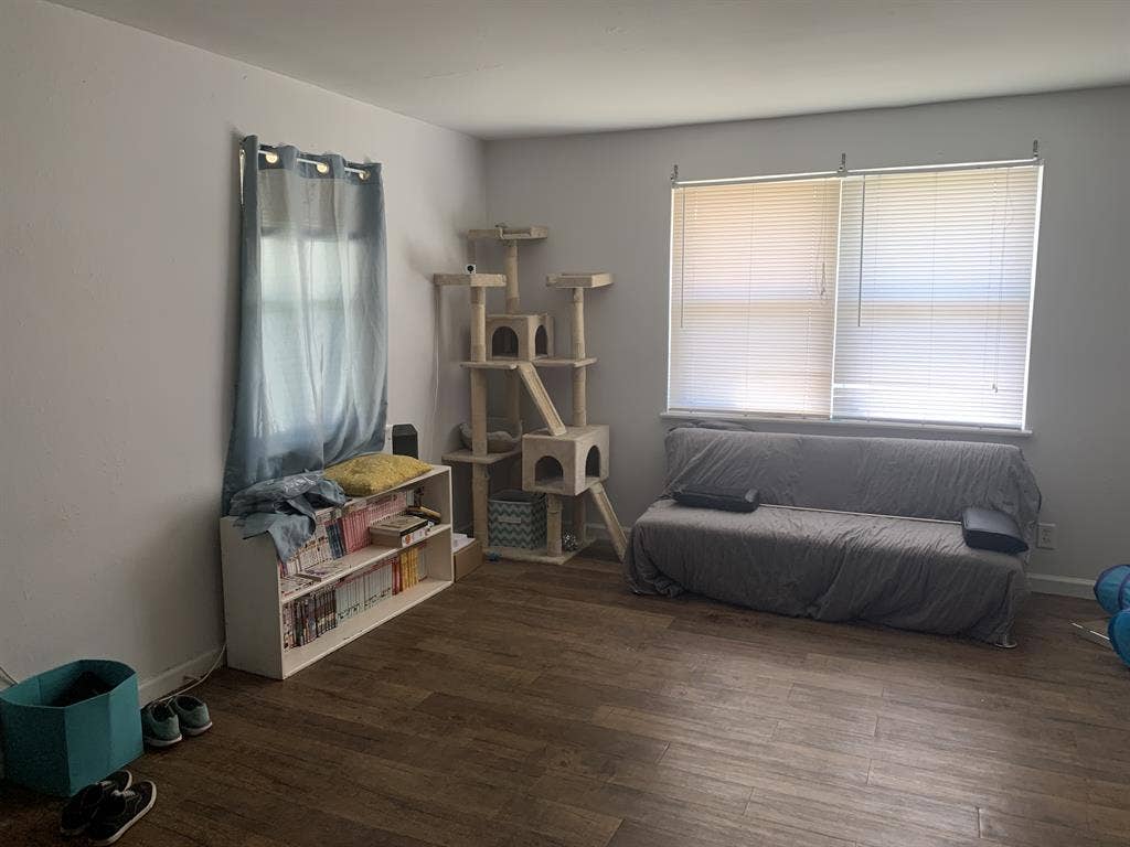 Roommate needed