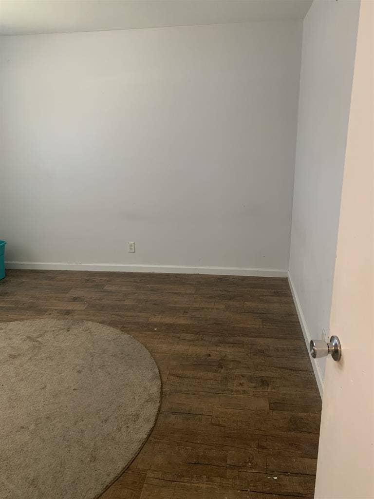 Roommate needed