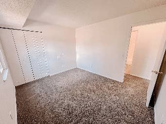 Spare room in apt for rent