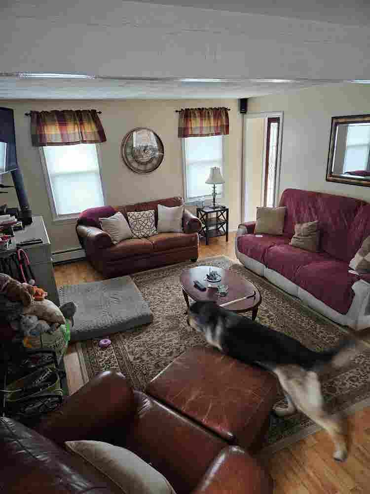 Single Family Home wants roommate