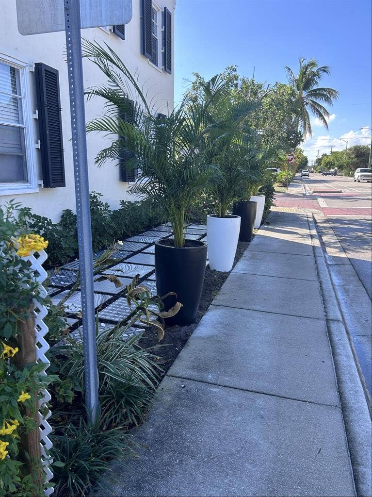 Historical architecture !