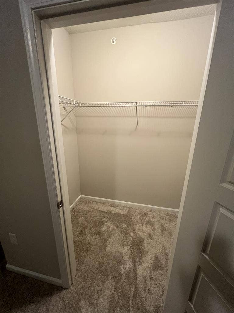 Room for rent (Tampa)