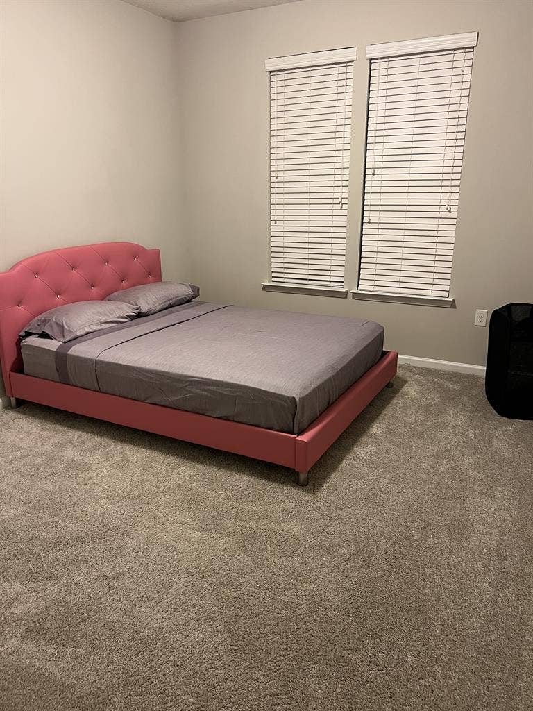 Room for rent (Tampa)