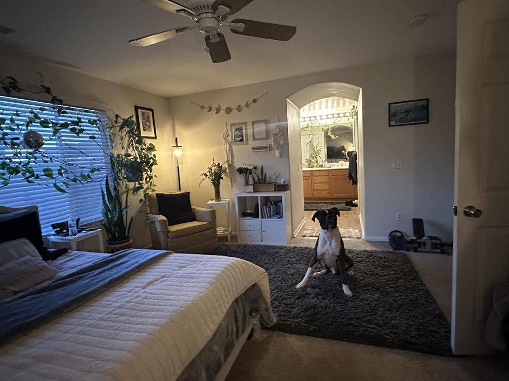 Master Bedroom with own Bathroom