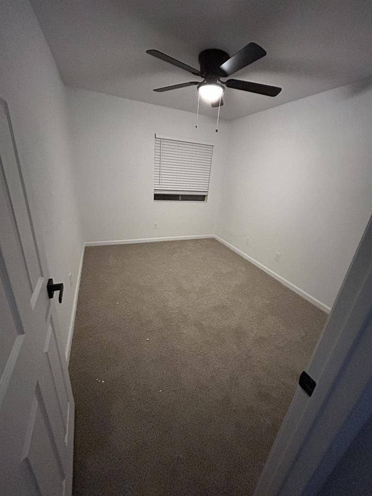 Female, looking for roommate