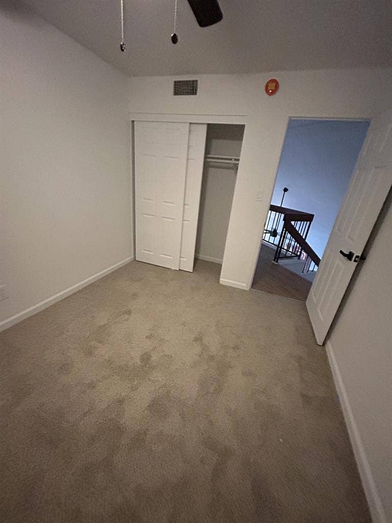 Female, looking for roommate