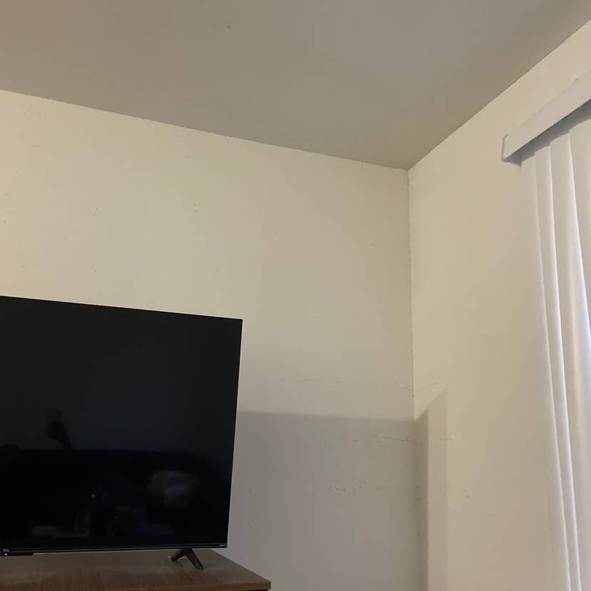 Roommate needed